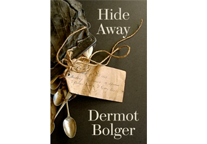 Hide Away: A new novel